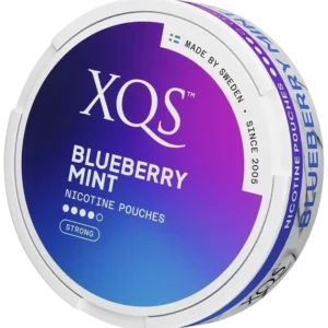 XQS Blueberry Mint - 20mg