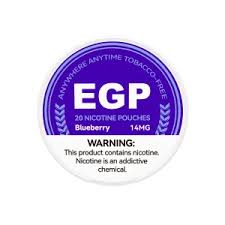EGP BLUEBERRY - 9MG